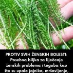 FB_IMG_1737307914622-1