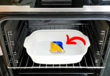 Trik za čišćenje vaše pećnice “BEZ MUKA”. Čak će i sagorjela mast nestati!