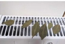 Moja baka stavlja lovorov list na radijator u spavaćoj sobi: Otkloniće ovaj PROBLEM u vašem domu!