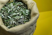 U BIBLIJI SE SPOMINJE 1000 PUTA: Skuhajte čaj koji pomaže kod liječenja od najtežih bolesti!