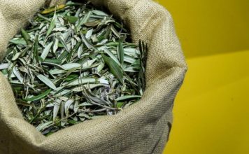 U BIBLIJI SE SPOMINJE 1000 PUTA: Skuhajte čaj koji pomaže kod liječenja od najtežih bolesti!