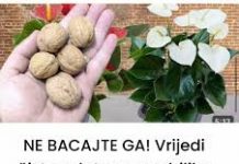 NE BACAJTE GA! Vrijedi čistog zlata za sve biljke (tjera ih da eksplodiraju, s toliko cvjetova)