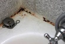 Preko noći sam razmazala buđ na tuš kabini 0VO: Kada sam se probudila kupatilo je blistalo kao novo, kakav genijalan trik