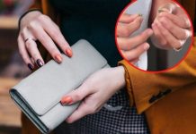 Ova biljka privlači obilje i sreću: Samo stavite 1 listić u novčanik i gledajte kako se novac gomila