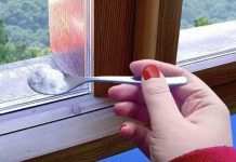 Sipajte ga oko prozora i ispred vrata i nećete više vidjeti mrave, paukove ili muhe: NAJJAČA KUĆNA MJEŠAVINA PROTIV ŠTETOČINA!