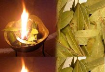 KADA SE STVARI KRENE PREOKRET: Zapalite lovorov list u prostoru i nakon KRATKOG VREMENA promatrajte efekte.