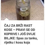 480169807_1080209334120705_8193039724306329893_n