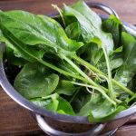 86364_cudotvorna-biljka-kiselica_f (1)