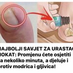OUOL9U9L – kopija