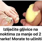 dgvfsgv