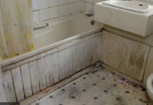 Moćnija od sirćeta i sode bikarbone: Ova namirnica nema šta ne čisti, a uništava kamenac i fleke