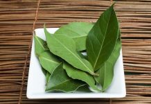 Evo zašto sam stavio lovorov list u kupatilo: Znale su već naše bake!
