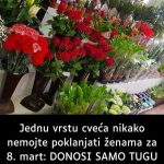 481967700_1042869001206079_6398823708683796287_n