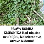 482324347_1160506748810245_220391582673737082_n