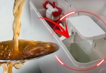 ŽENA SIPALA OVO U VODOKOTLIĆ I IZAZVALA BURU NA INTERNETU: Kupatilo joj miriše mjesecima, a trik nikad prostiji