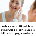 Add a subheading – 2025-03-12T103334.011