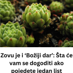 Add a subheading (55)