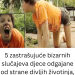 Kako da svakog vikenda uštedite na kupovini hrane Odlični saveti najpoznatijih šopingholičara (20)