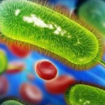 Screenshot-2025-03-22-215557