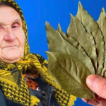 Screenshot-2025-03-26-204519 (2)