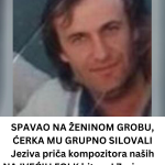 Turske-przenice-Brz-jeftin-i-izdasan-dorucak-73