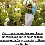 Copy-of-Add-a-subheading-33