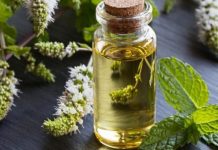 KAKO U TREN OKA UKLONITI USTAJALI MIRIS IZ KUĆE: Za samo 3 minute, vaš dom će zračiti svježinom i čistoćom, baš poput mirisne apoteke!