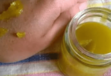 Moja baka mi je rekla zašto svaka žena treba da ima MEST od koprive kod kuće: Čudo za proširene vene, otoke, pa čak i reumu!