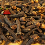 Screenshot-2025-03-29-153909 (1)