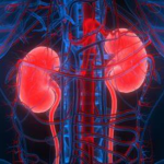 Screenshot-2025-04-01-215304