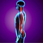 Screenshot-2025-04-01-220439 (1)