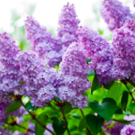 Screenshot-2025-04-03-210654