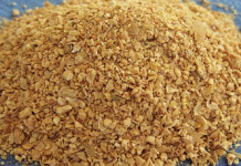 Čiste crijeva kao METL0M. P0državaju živčani sustav i pomažu u skidanju sala s trbuha!