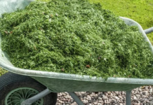 NIKAD NEMOJTE BACATI POKOŠENU TRAVU, samo uraditeovo! Bolje od 100 gnojiva