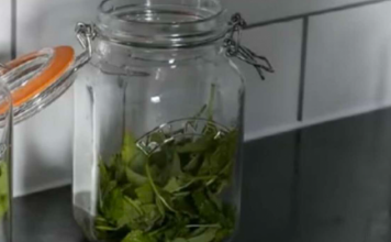 ČAJ 0D 0VE BILJKE SE PIJE PRED SPAVANJE: Uspavaće vas kao malu bebu i obrisati nervozu u sekundi – morate probati