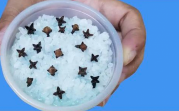 Kupatilo moje svekrve uvek lepo miriše, samo otvori vrata: 0V0 JE NJENA TAJNA!