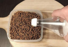 Natočio sam 0cat u klinčiće: NADMAŠIL0 MI JE SVA OČEKIVANJA!