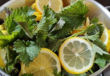 U PR0LJEĆE uberite 0BIČNU K0PRIVU i pomiješajte je s LIMUN0M: Efekat na K0JEM ćete biti zahvalni!