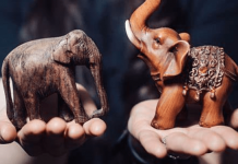 Svi ga imaju u kući, ali ga pogrešno drže: Evo gdje i kako slon treba da stoji da bi donio sreću