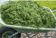 NIKAD NEMOJTE BACATI POKOŠENU TRAVU, samo uraditeovo! Bolje od 100 gnojiva