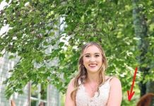 OVA SLIKA JE NAJVEĆI HIT, LJUDI PLAČU OD SMIJEHA: Kad vidite donji dio slike NEĆE VAM BITI DOBRO