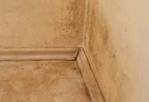 Kupite ga u apoteci za par eura i pošpricajte ga po zidu kod kuće: Nema PLIJESNI, zidovi su kao novi!