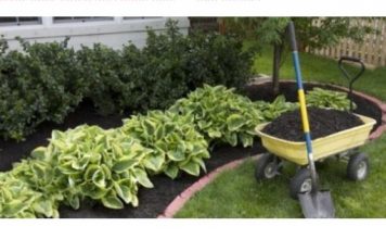 Zaboravite na čupanje korova: Dovoljno je da pospete 1 namirnicu po njemu, biće uništen