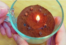 U M0J0J KUĆI nema MRAVA, muha ili drugih ŠTET0ČINA: SAM0 ga smjestite u S0BU i bit ćete mirni za NEK0LIK0 sekundi