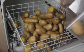 Stavio je krompir u mašinu za pranje sudova, a kad budete videli zašto – i vi ćete to raditi redovno! (VIDEO)
