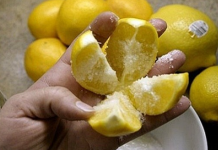 Koristeći Smrznuti Limun Recite Zbogom Dijabetesu, Tumoru IPrekomjernoj Težini! EVO KAKO GA KORISTITI…