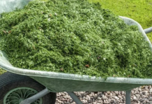 NIKAD NEMOJTE BACATI POKOŠENU TRAVU, samo uraditeovo! Bolje od 100 gnojiva