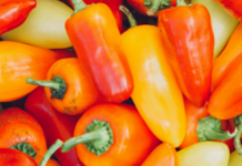 Ne bacajte nikad peteljke od paprika, kad čujete čemu služe čuvaćete ih kao da su od zlata!