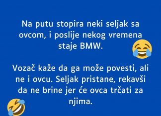 VIC DANA: Na putu stopira neki seljak