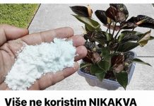 Više ne koristim NIKAKVA druga gnojiva: OVO stavite u saksiju i nećete prepoznati svoje cvijeće